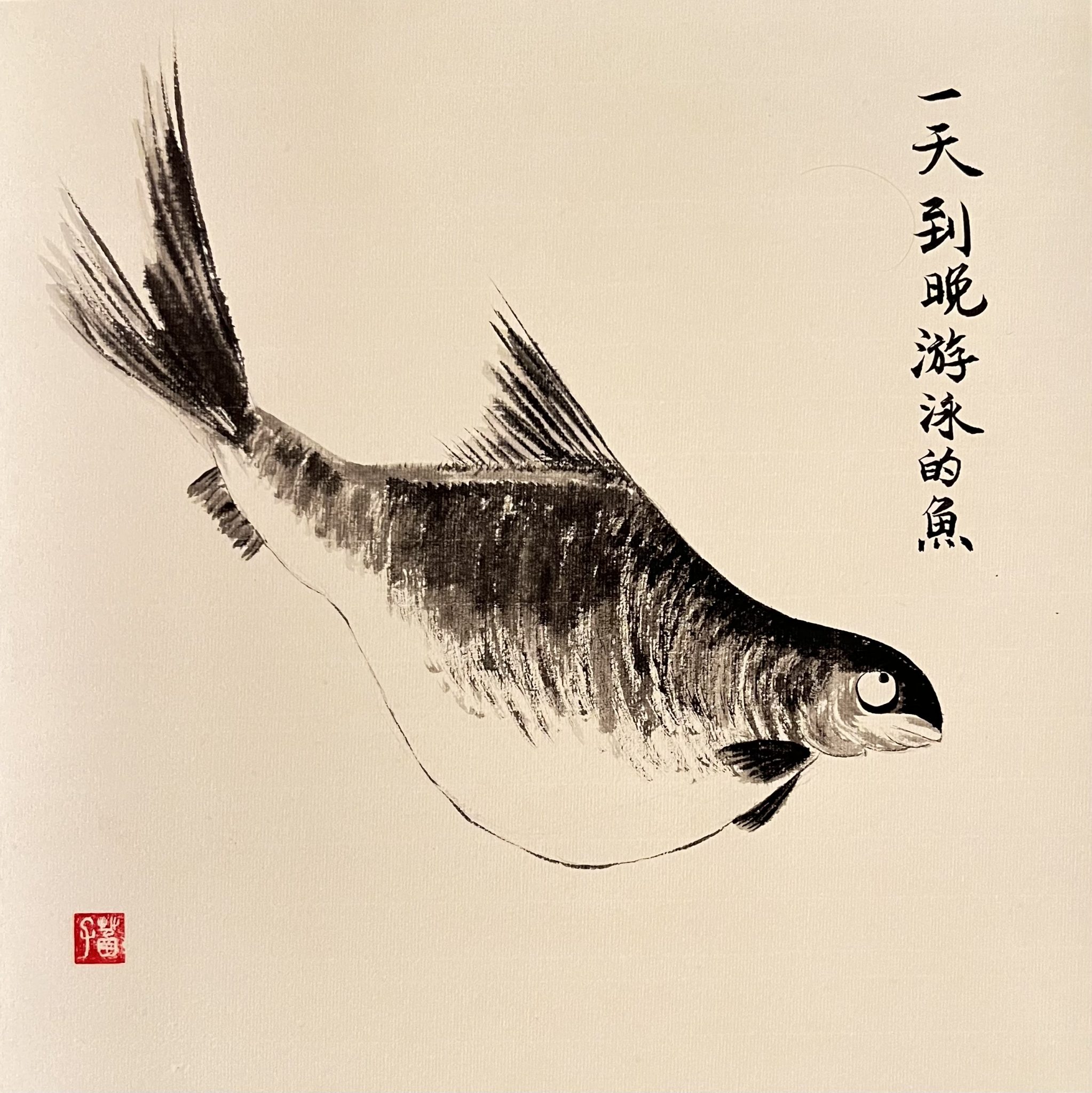 Non-stop Swimming fish