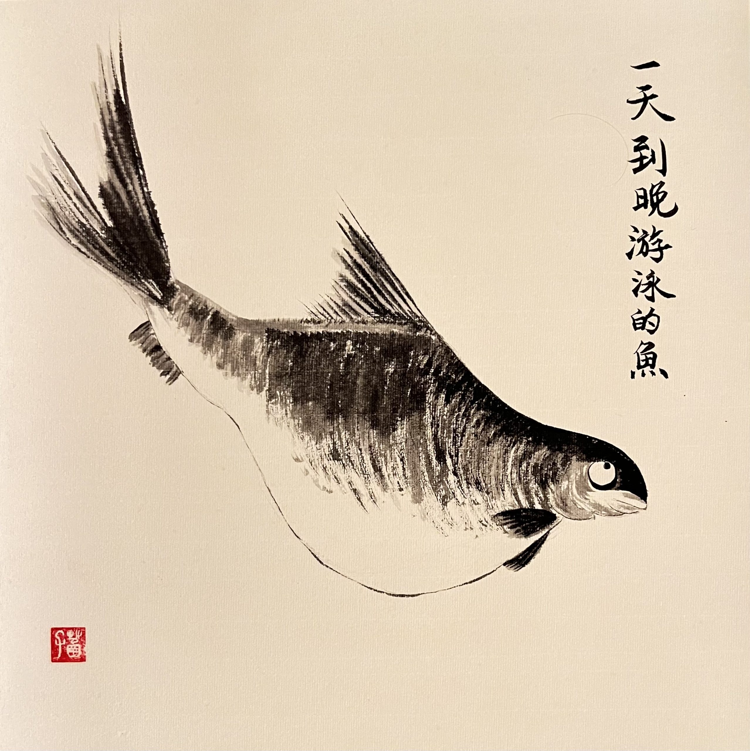 Non-stop Swimming fish Non-stop Swimming fish